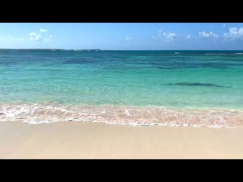 A Moment on Long Bay Beach in Antigua