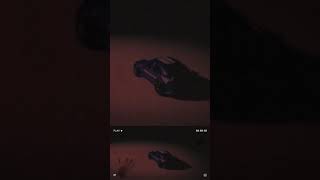 The Hammerheads Cousin...