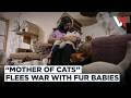 I Left Everything Else Behind Beirut Woman Flees Israeli Airstrikes With 33 Rescued Cats VERTEX