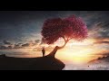 Healing Instant Calm, Beautiful Relaxing Music for Sleep, Stress and Anxiety Relief ★ 47