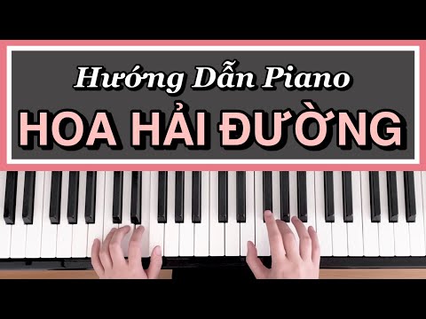 [Hướng Dẫn Piano] HOA HẢI ĐƯỜNG - JACK | Sheet | Đệm Hát Cơ Bản #13