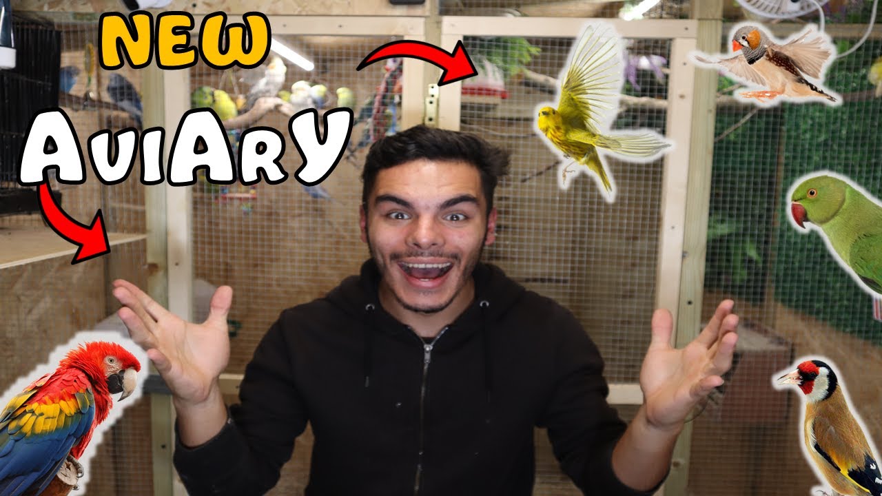 THE NEW BIRD AVIARY SETUP!!! | Lucas Ferraz