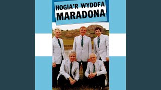 Download Lagu Dychweliad Y Wennol MP3