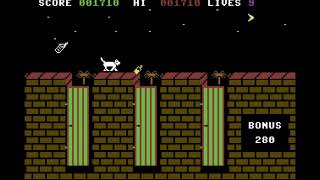 Alley Cat C64 Longplay / Full Playthrough / Walkthrough (no commentary)