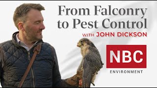 John Dickson: From a Passion for Falcons to a Nationwide Pest Control Company #pestcontrol by POTOMAC TV 154 views 3 months ago 5 minutes, 50 seconds