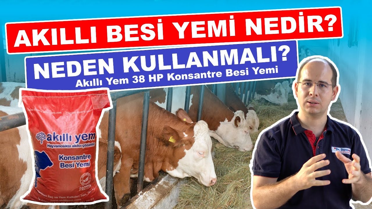 Akıllı Besi Yemi Nedir | Neden Kullanmalı? | Akıllı Yem 38 HP Konsantre Besi Yemi