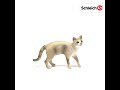 Schleich   13932   figurine chat europen siamois figurines schleich sur site borntobekids 