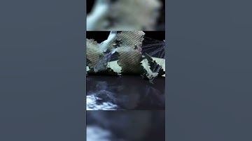 INSYDIUM Design Team - Sticky Cloth