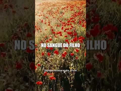 [CORTES ICM] - O Espírito de Deus