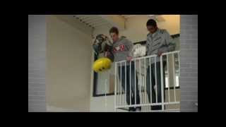 egg drop January 2012