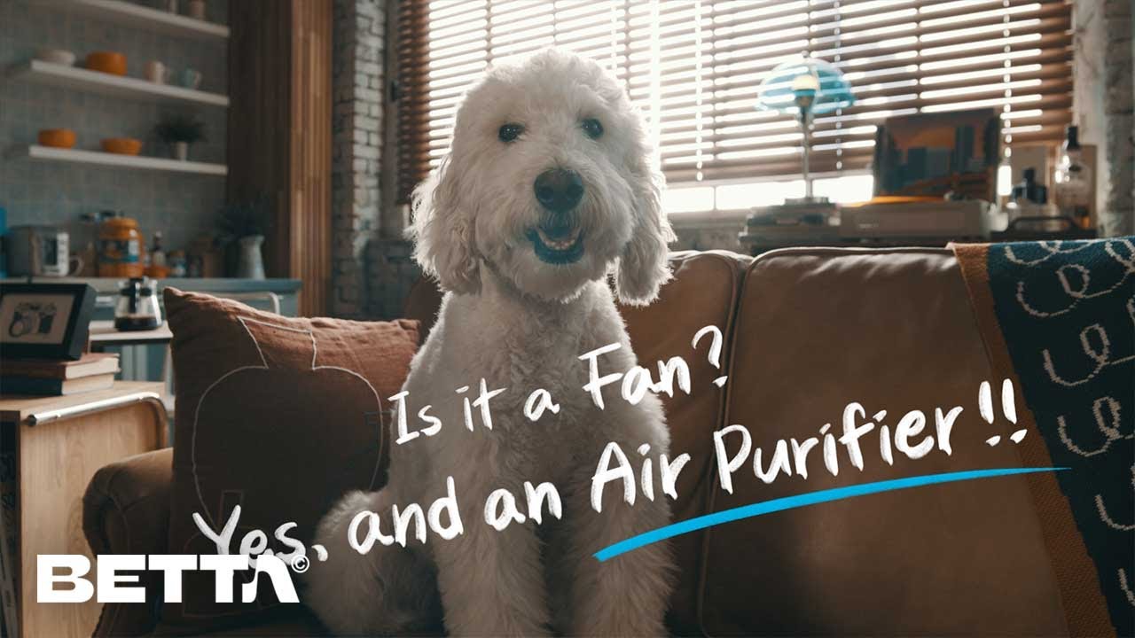 coway-airmega-aim-youtube