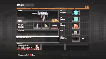 Best Bo2 MSMC Class Setup #4