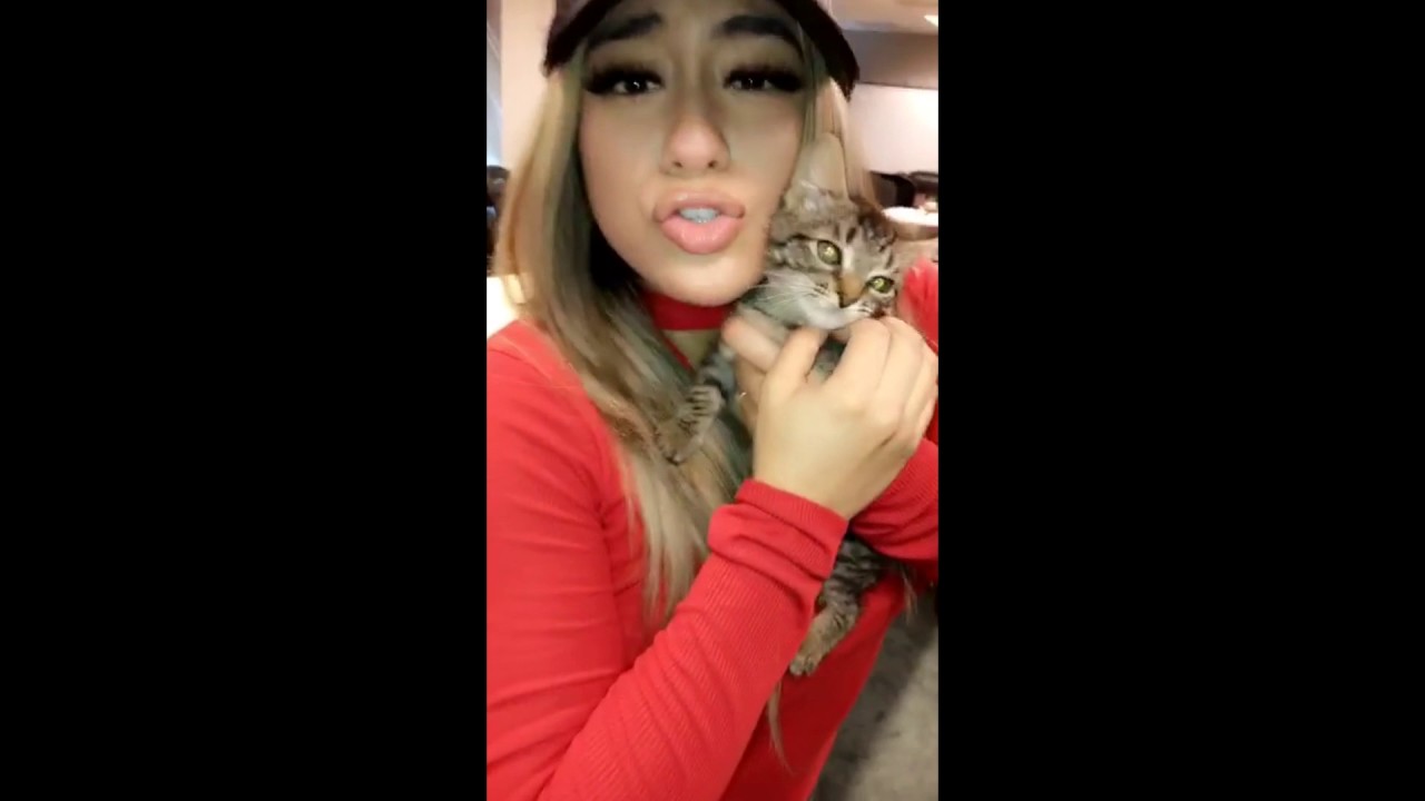 Ally Brooke Snapchat Story 11 20 February 2017 Youtube