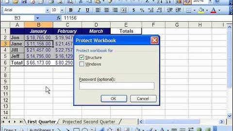 Excel 2003 Tutorial Workbook Protection Microsoft Training Lesson 32.3