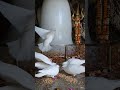 Har har Mahadev 🙏🚩💗
