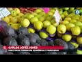 ¿Por qué la mala economía le gusta a la Bolsa? Carlos López Jones lo explica