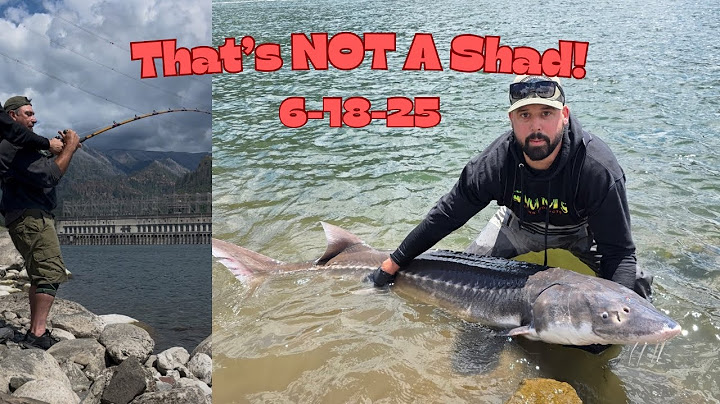 This Columbia River SHAD Fishing Trip Took A CRAZY Turn!