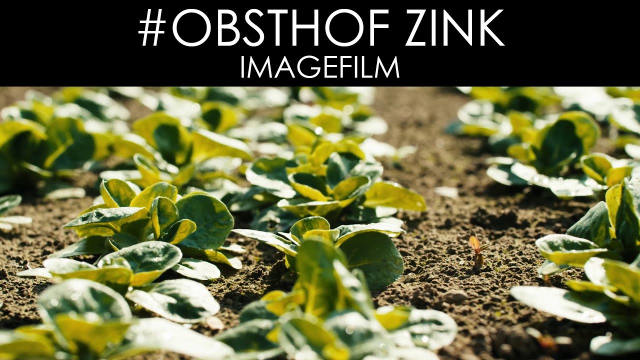 IMAGEFILM 2016 "Feldsalat" - Obsthof Zink | by KUEHNMEDIA