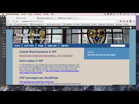 een WordPress thema maken stap 6: koppelingen head, tagline en post dynamisch