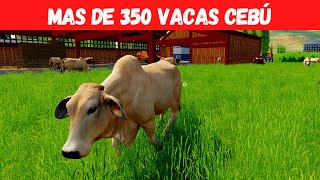 FS19 | MAPA DONDIEGO | Preparo Ración Mezclada Para Mas de 350 Vacas Cebú | Vendo Postes Para Cercar