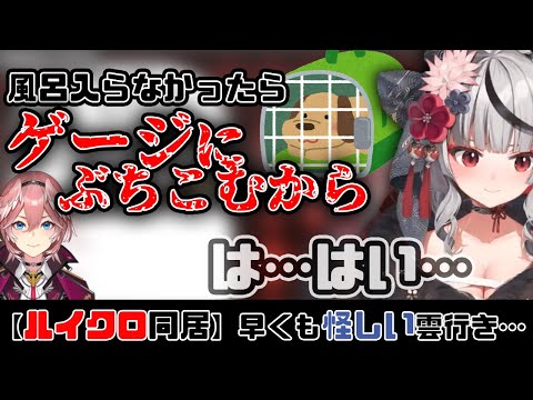 鷹嶺ルイとの同居生活に、早くも暗雲が立ち込める…【沙花叉クロヱ/鷹嶺ルイ/ホロライブ/切り抜き】