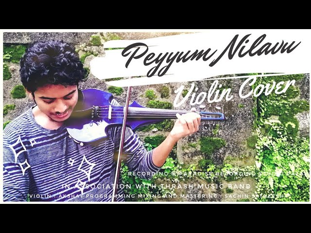 Peyyum nilavu | Violin Cover | Harishankar | Akshayrtist | Sachin satheesh | Maniyarayile ashokan | class=