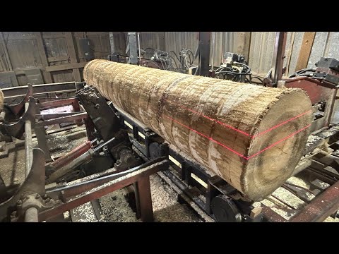 Saw-Milling Giant Poplar Logs! My Quickest Run Yet! #217
