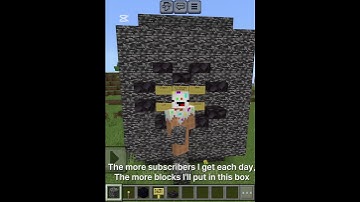 I Put A Blok For Every Subscriber Day 3