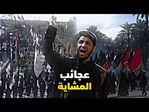 ما عدها ملايين وترحب بالملايين محمد الجنامي عجائب المشاية ستوريات حسينية مشاية