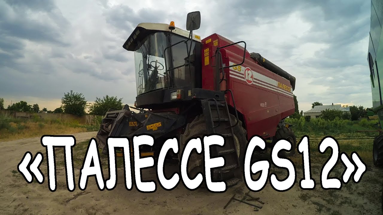 Двигатель палессе gs12