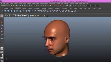 Maya Rigging Script for Facegen Meshes ready for FaceFX