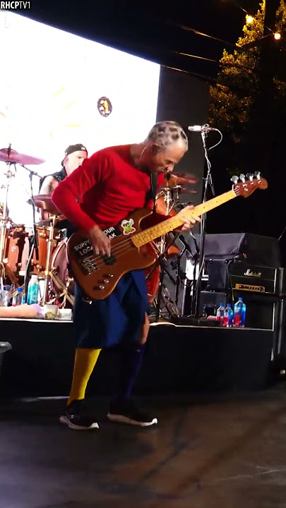 Flea - “Irresistible Groove” #Shorts #RedHotChiliPeppers #Flea