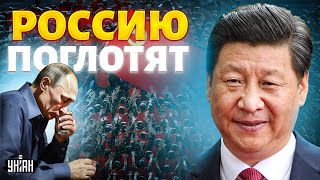 Это конец: Пекин ПОСЛАЛ Путина! Китай поглощает Россию