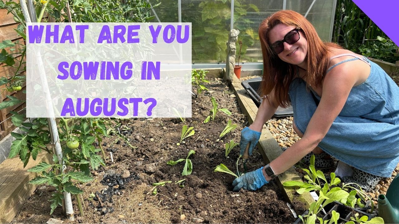 What To Sow In August - Allotment Gardening For Beginners UK - YouTube