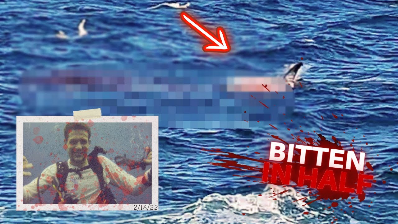 Great White Shark RIPS Scuba Diver, Simon Nellist Into PIECES! YouTube