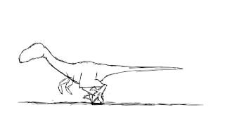 Raptor Run Test
