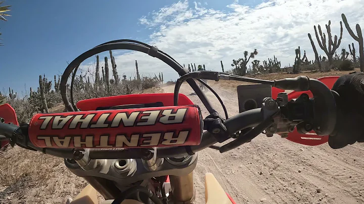 2021 Baja 1000 Prerun Race Mile 1175 area Garbo an...