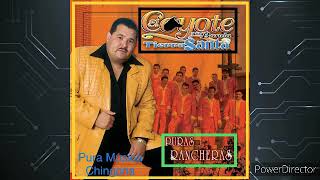 El Coyote | Rancheras Y Corridos