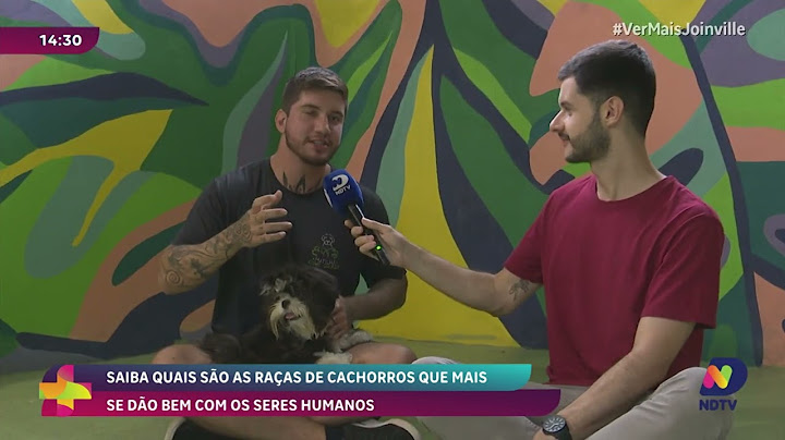 Saiba quais são as raças de cachorros que mais se dão bem com os seres humanos