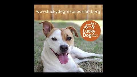 Jordanj Wk4 radioad2 Final MP3