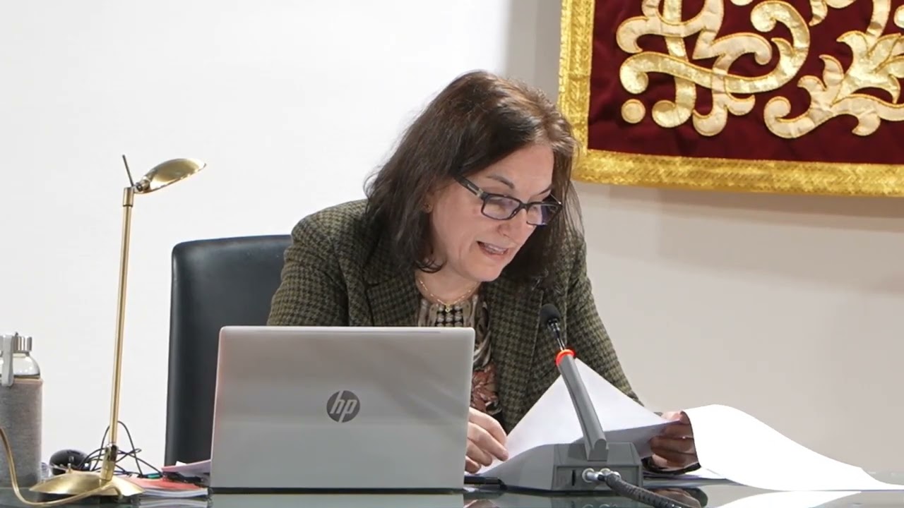 PLENO ORDINARIO 12 DE FEBRERO DE 2026  - PARTES DE CONTROL 1,2,3 DAR CUENTA