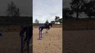from yesterday! #fyp #horse #greenott #bitless #equestrian #horseriding #eventer #badrider