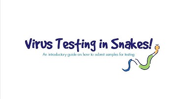 Virus Testing in Snakes
