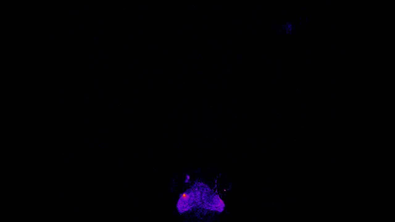 Ученые впервые запечатлели на видео движение мыслей.. Фото.