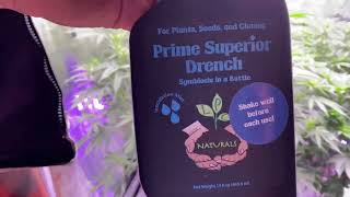 Daily grow journal!!! Happy Thursday  @gorillagrowtent @primesuperiorgrow ￼