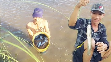 Câu Cá,Giăng Lưới Mùa Nước Nổi,Vui Miền | Tây Vlog