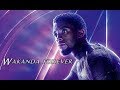 Black Panther - Tribute (The Response) [Road to Infinity War]