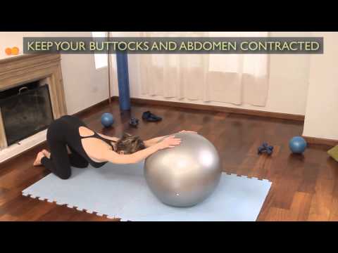 Exercise for spinal mobility : Pilates Exercises 5