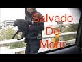 (Marvin) Rescate de perro a punto de morir  atropellado. Rescata, adopta, ayuda, (help dog)