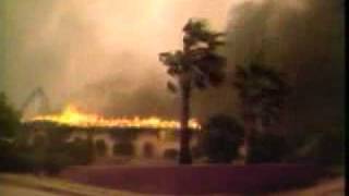 Celebrity Smokey Bear and Ted Shackleford (August 1985) Net Worth